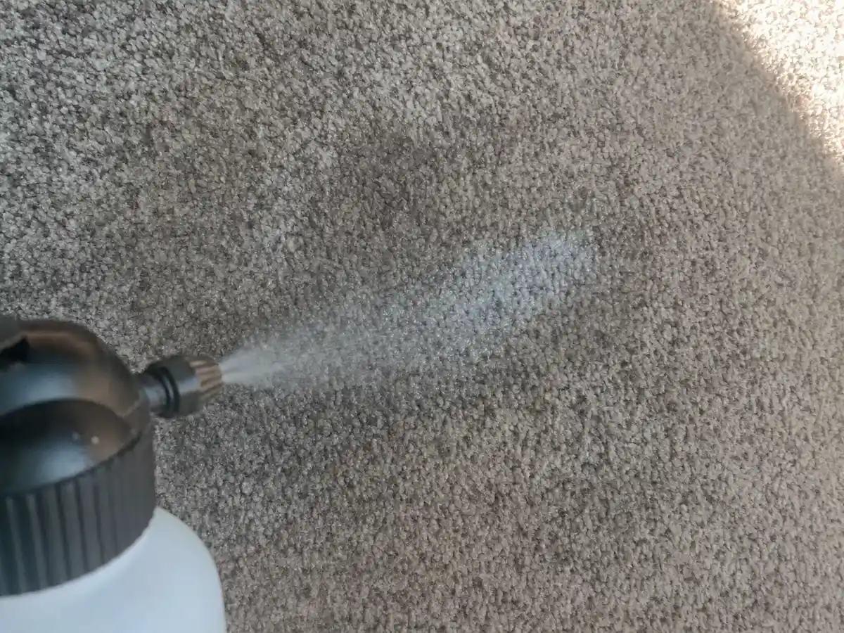 Carpet Deodorizing in Alhambra, CA