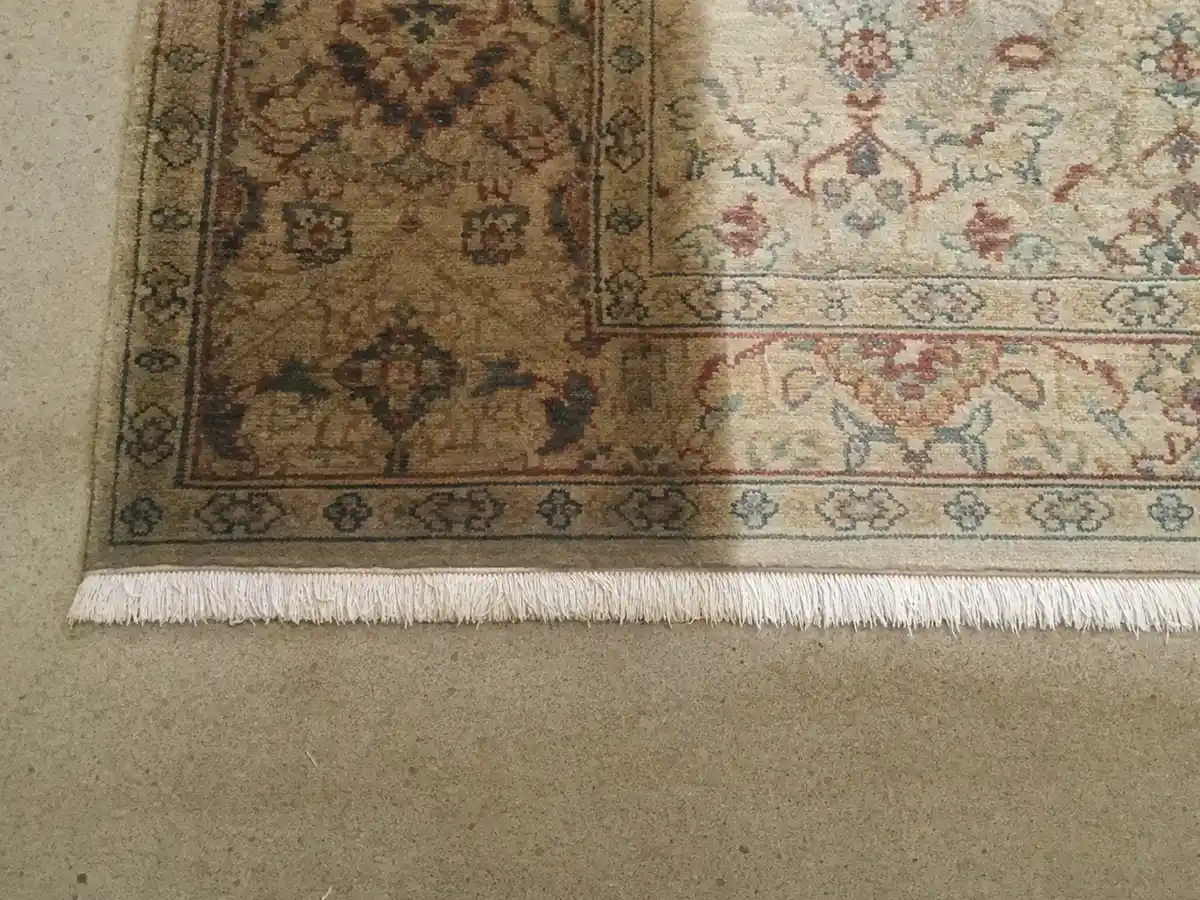 Rug Cleaning in Alhambra, CA
