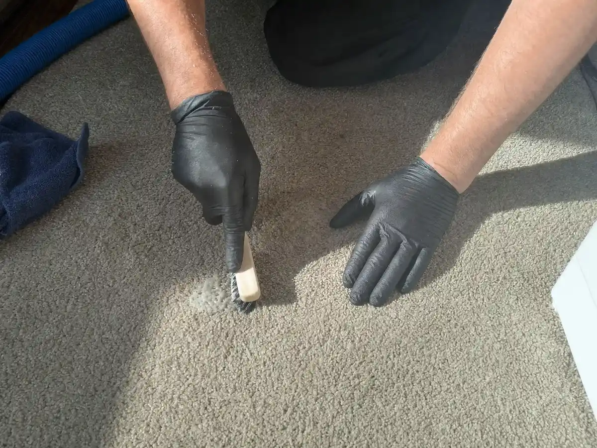 carpet cleaning technician on the job in Alhambra, CA